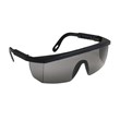 Goggles ECOLUX smoked