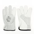 Leather glove FASO