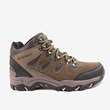 Treking shoe brown colour